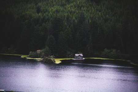 Cabin Near Pine Trees and Surrounded by Water photo