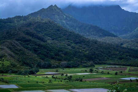 Aerial View Photography of Rice Field With Mountain Bckground
