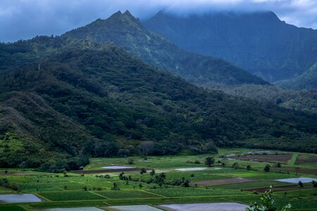 Aerial View Photography of Rice Field With Mountain Bckground photo