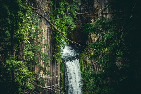 Landscape Photography of Waterfall photo