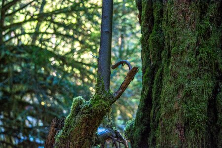 Free stock photo from Photo Collections