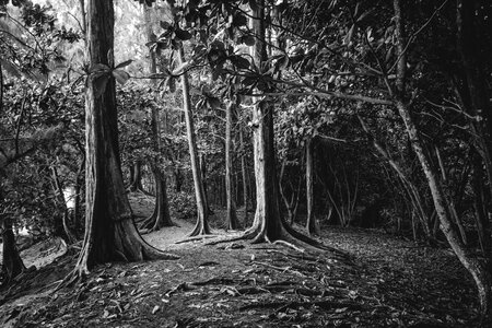 Free stock photo from Photo Collections
