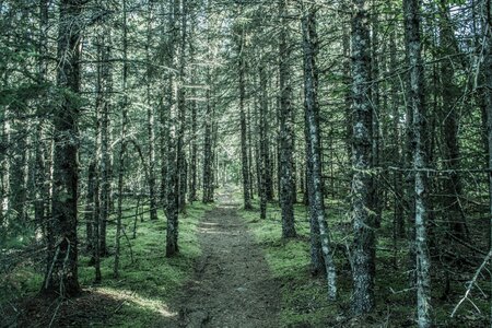 Free stock photo from Photo Collections