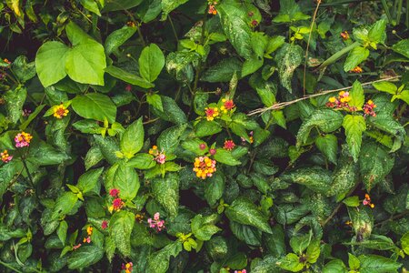 Free stock photo from Photo Collections