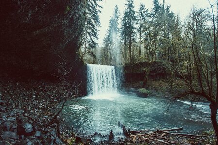 Waterfall Beside Forest photo