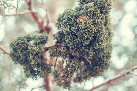 Free stock photo from Photo Collections