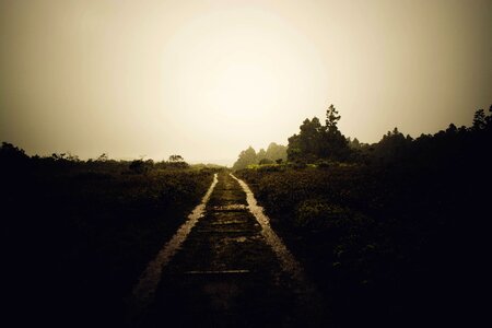 Free stock photo from Photo Collections