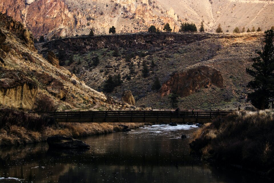 Brown Bridge on Forest