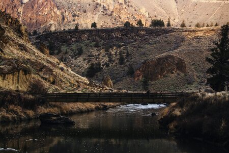 Brown Bridge on Forest photo