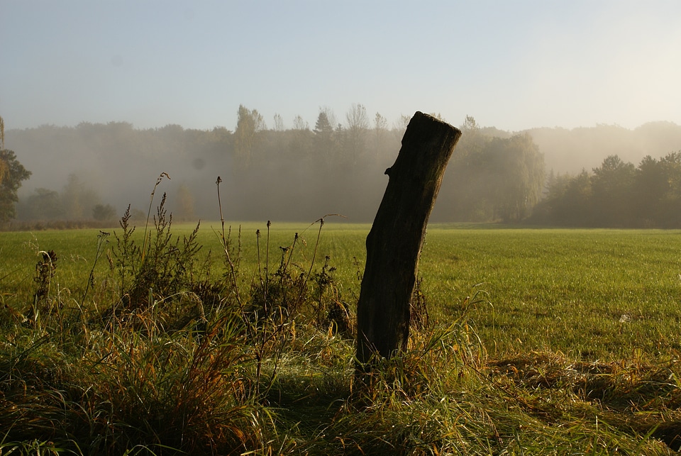 Autumn landscape morgenstimmung