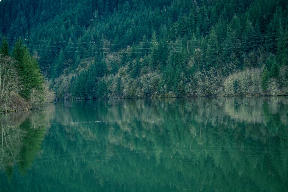 Free stock photo from Photo Collections
