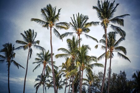 Free stock photo from Photo Collections