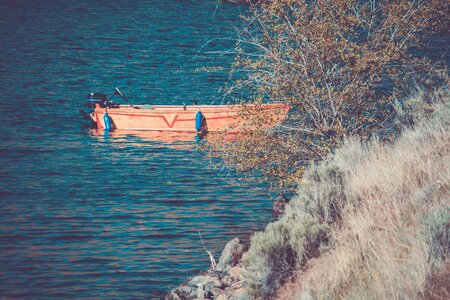 Free stock photo from Photo Collections