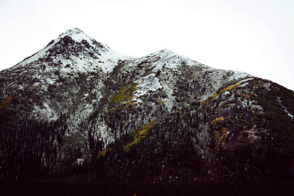 Free stock photo from Photo Collections