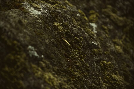 Free stock photo from Photo Collections