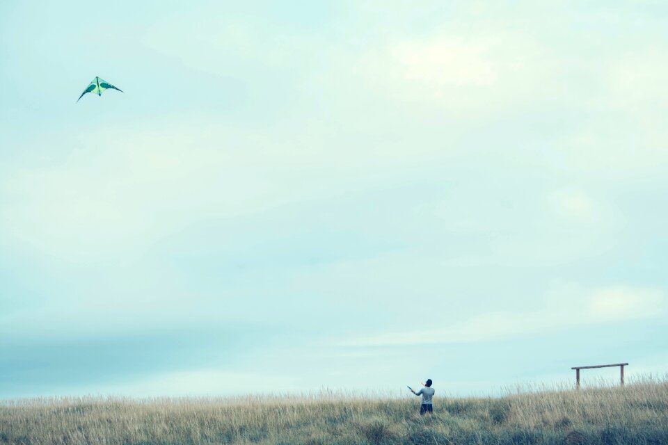Free stock photo from Photo Collections
