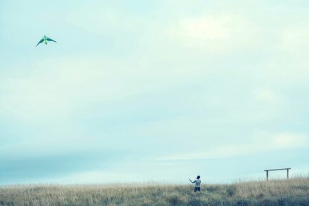 Free stock photo from Photo Collections