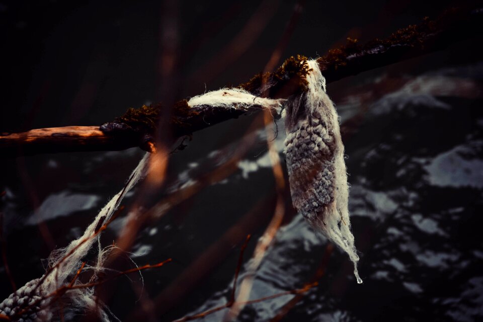 Free stock photo from Photo Collections