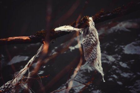 Free stock photo from Photo Collections