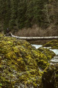 Free stock photo from Photo Collections