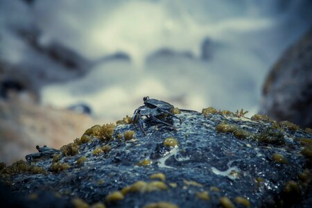 Free stock photo from Photo Collections