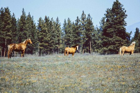 Free stock photo from Photo Collections