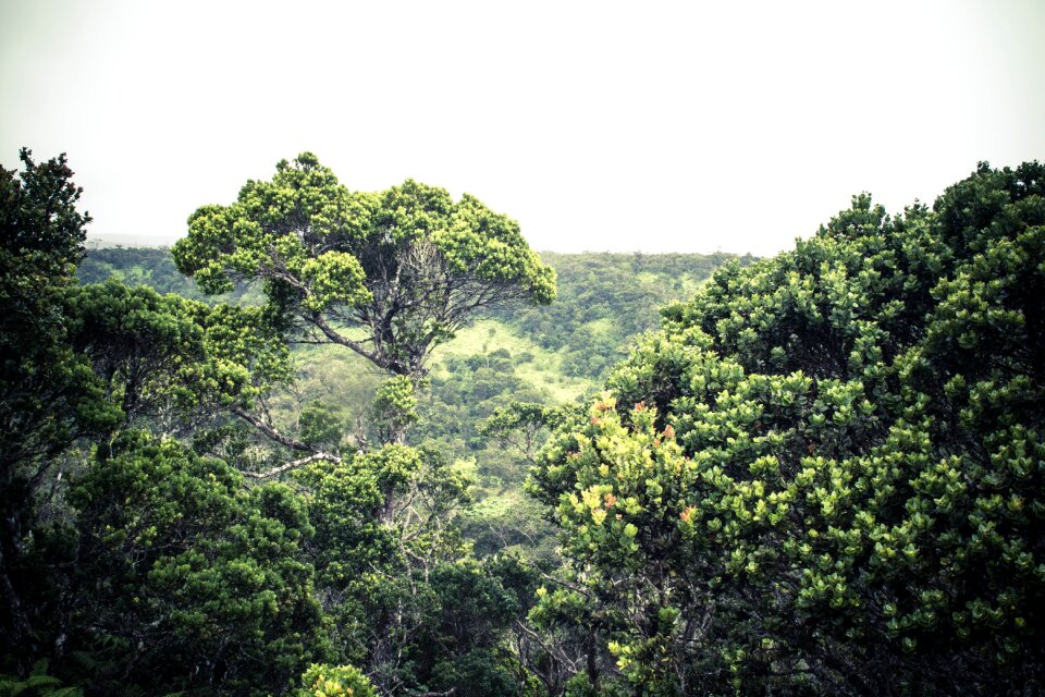 Free stock photo from Photo Collections