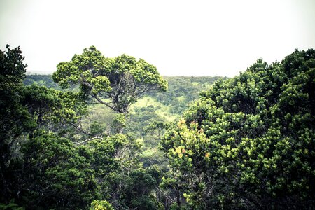Free stock photo from Photo Collections