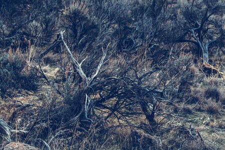 Free stock photo from Photo Collections