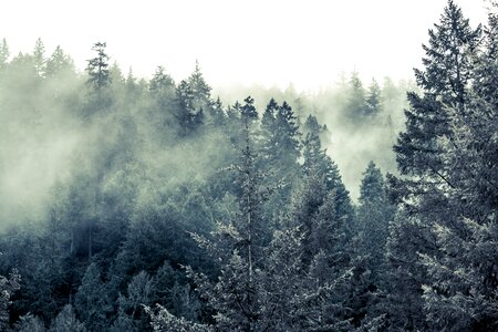 Free stock photo from Photo Collections