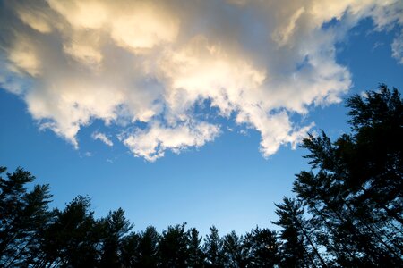 Free stock photo of clouds, nature, sky