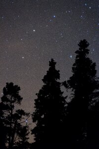 Free stock photo of nature, night, sky