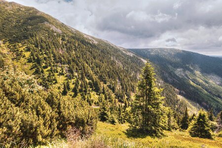 Free stock photo from JÉSHOOTS