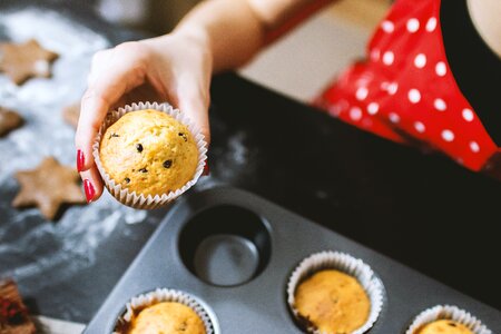 Person Holding Muffin photo