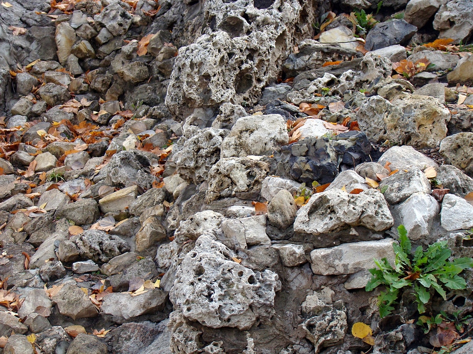 Rock leaves yellow
