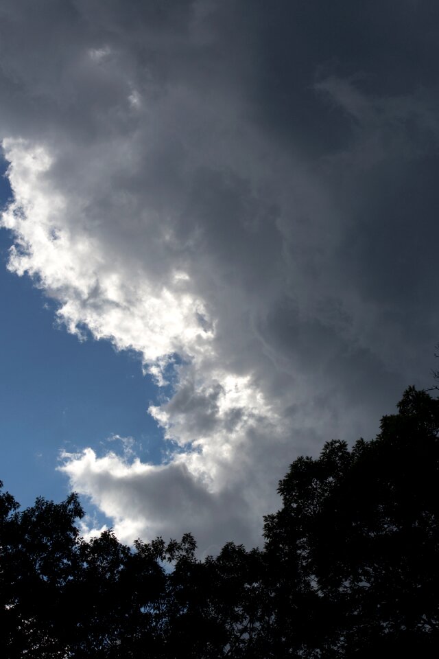 Silhouette of Trees Against Cloudy Sky