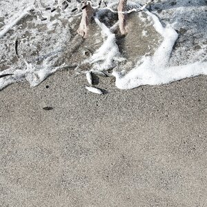 High Angle View of Sand on Beach