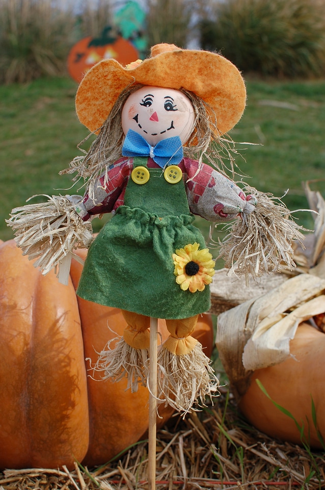 Harvest october cute