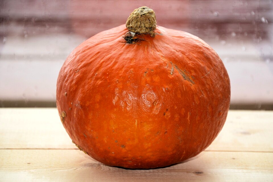 Free stock photo of calabash, crop, dinner photo