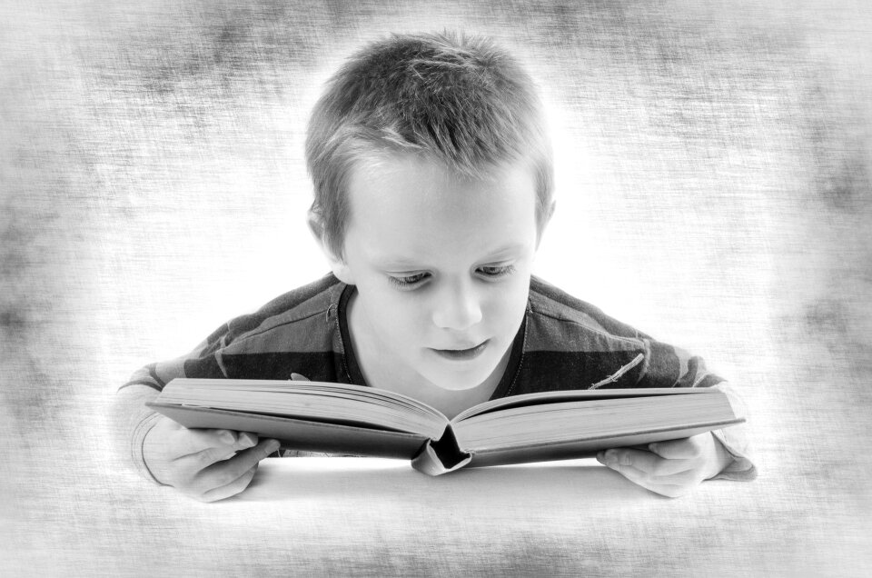 Free stock photo of boy, child, concept