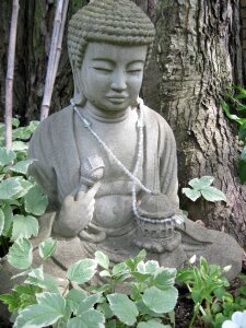 Free stock photo of asia, buddha, Buddhism photo