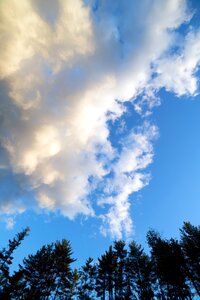 Free stock photo of clouds, nature, sky