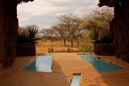 Free stock photo of africa, camp, hotel photo