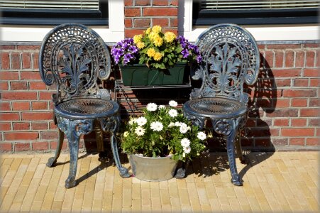 Free stock photo of chair, flower pot, flowers photo