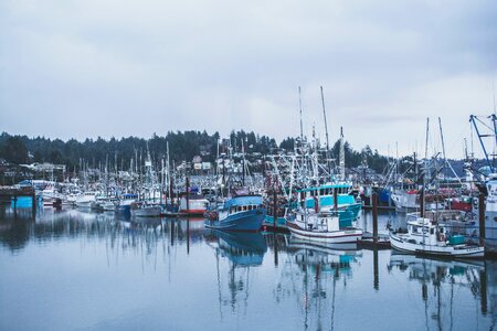 Free stock photo from Photo Collections