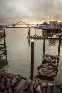Free stock photo from Photo Collections