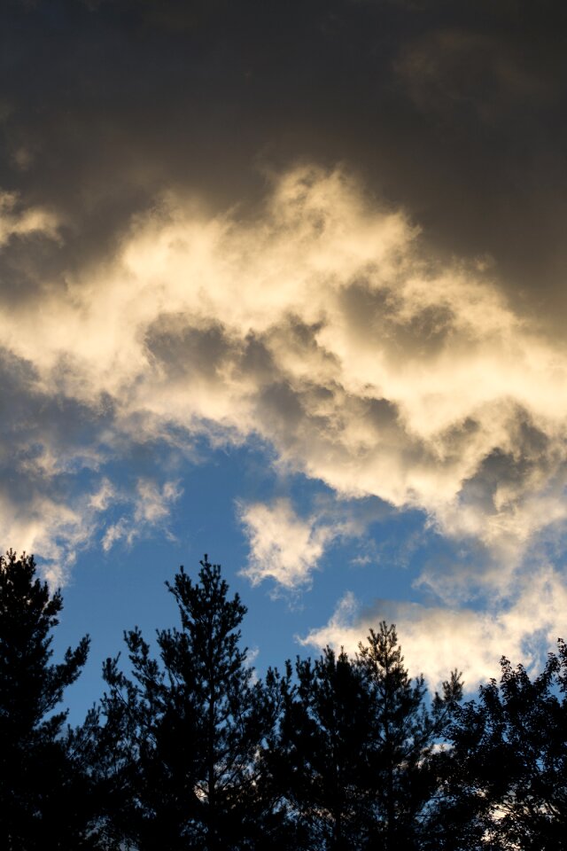 Free stock photo of clouds, nature, sky