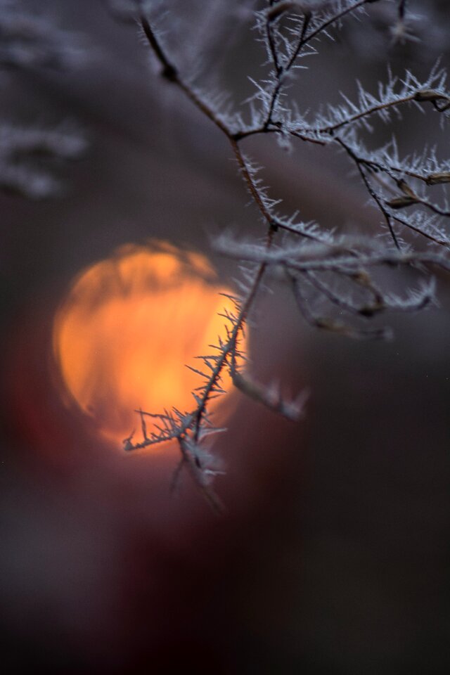 Free stock photo from Snapwire