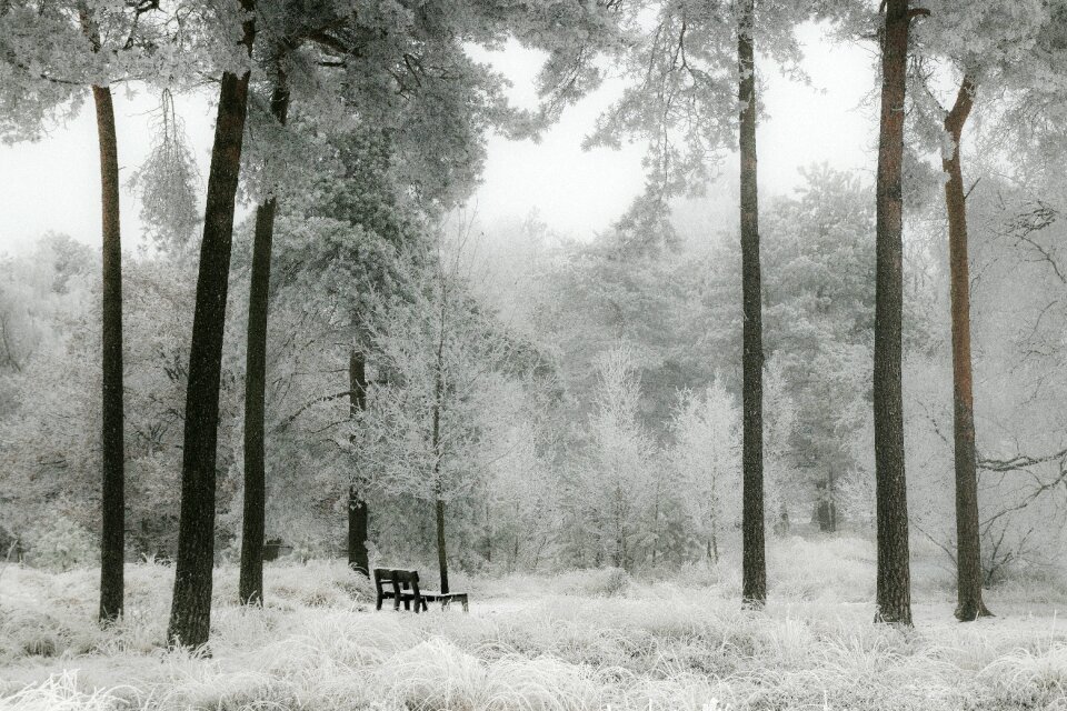 Brown Wooden Bench on Snow Covered Ground