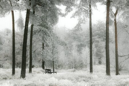 Brown Wooden Bench on Snow Covered Ground photo